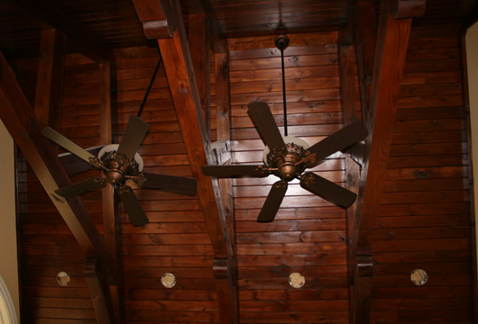 Large Photo
