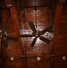 Thumbnail Photo