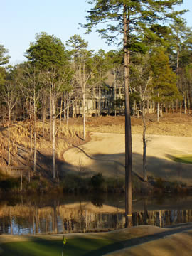 Large Photo