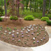 Thumbnail Photo