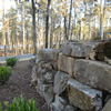 Thumbnail Photo